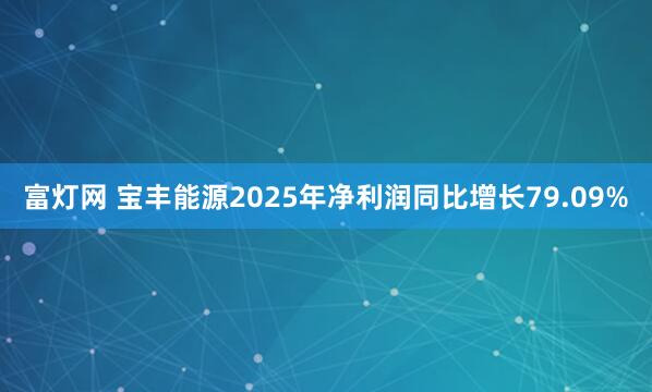 富灯网 宝丰能源2025年净利润同比增长79.09%