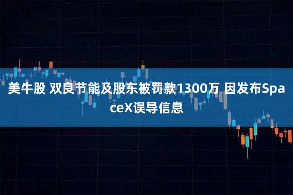 美牛股 双良节能及股东被罚款1300万 因发布SpaceX误导信息