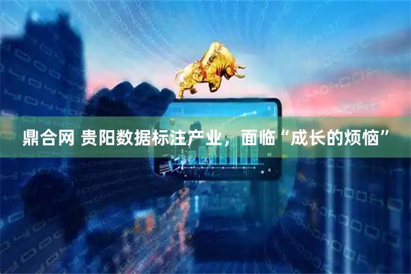 鼎合网 贵阳数据标注产业，面临“成长的烦恼”