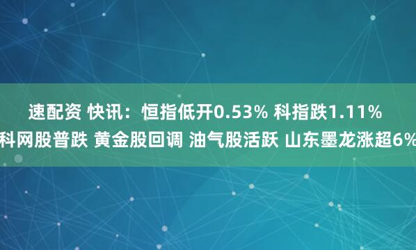 速配资 快讯：恒指低开0.53% 科指跌1.11% 科网股普跌 黄金股回调 油气股活跃 山东墨龙涨超6%