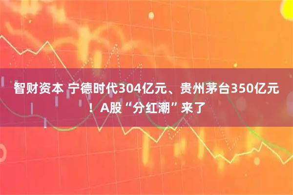 智财资本 宁德时代304亿元、贵州茅台350亿元!A股“分红潮”来了