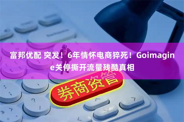 富邦优配 突发！6年情怀电商猝死！Goimagine关停撕开流量残酷真相