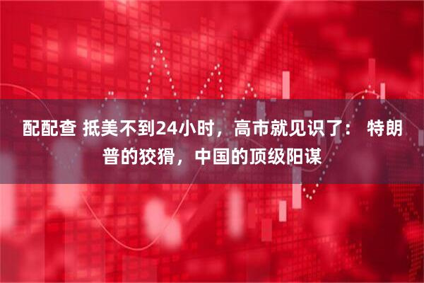 配配查 抵美不到24小时,高市就见识了: 特朗普的狡猾,中国的顶级阳谋