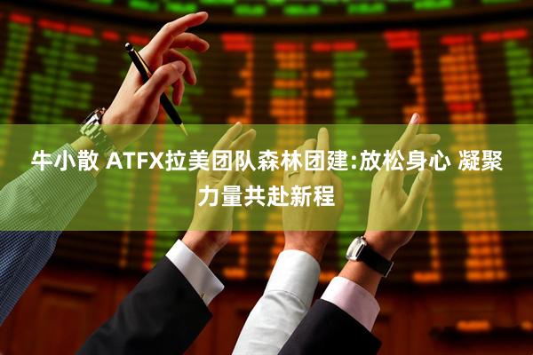 牛小散 ATFX拉美团队森林团建:放松身心 凝聚力量共赴新程