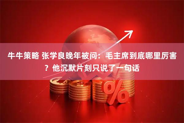 牛牛策略 张学良晚年被问：毛主席到底哪里厉害？他沉默片刻只说了一句话