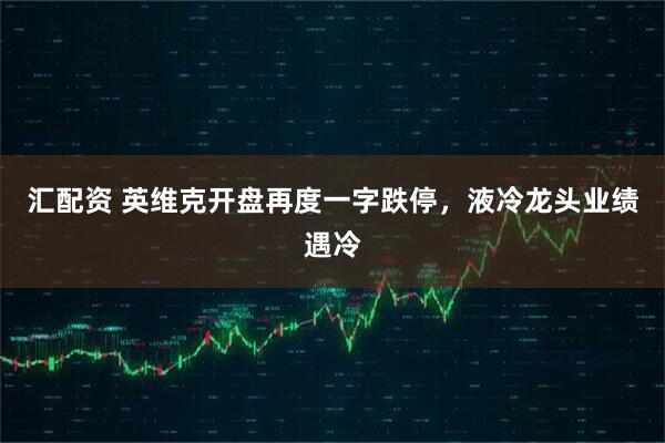 汇配资 英维克开盘再度一字跌停,液冷龙头业绩遇冷