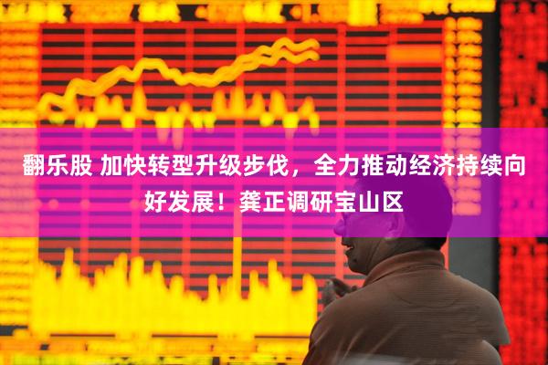 翻乐股 加快转型升级步伐，全力推动经济持续向好发展！龚正调研宝山区